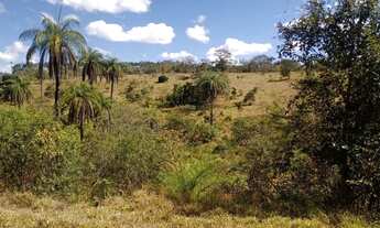 Imagem 3: Terreno 29ha, terra boa e quase todo formado em branquearão, Baldim