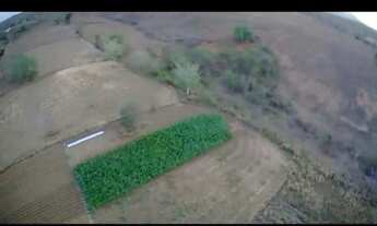 Imagem 5: Propriedade Rural 12 hectares - Guarabira/Cuitegi