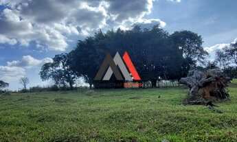 Imagem 3: Excelente lotes à venda!