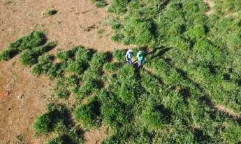 Imagem 6: Chácara 2 Hectares Chacara De 20.000M2, São 20.000M2!. 1KGKUNS