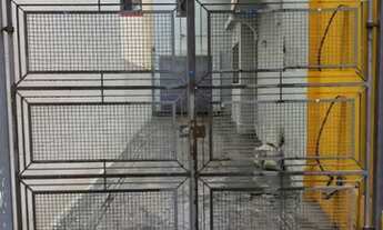 Imagem 3: São Paulo - Casa Comercial - Perdizes