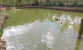 Imagem 7: Sítio com 4 dormitórios à venda, 38000 m² por R$ 1.380.000 - Arace - Domingos Martins/ES