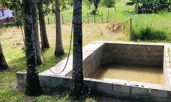 Imagem 2: Alugo sítio na divisa de Biguaçu com Antônio Carlos