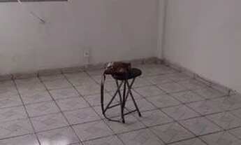 Imagem 2: Apartamento Coelho da Rocha