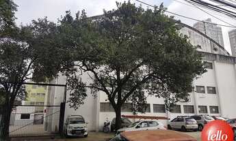 Imagem 3: São Paulo - Galpão/Depósito/Armazém - Perdizes