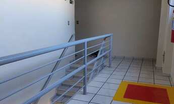 Imagem 4: Parque dos franceses