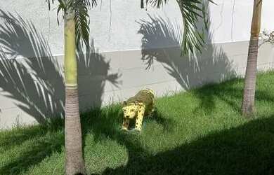 Imagem 5: Temporada em Massagueira