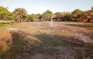 Imagem 4: Vendo terreno em Paulino neves Maranhão