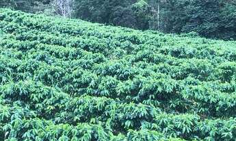 Imagem 4: Imóvel rural Chácara com venda por R$900.000