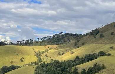 Imagem 4: Fazenda Boiadeira 410 hectares