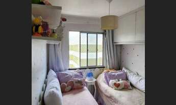 Imagem 4: Palm Ville 63220