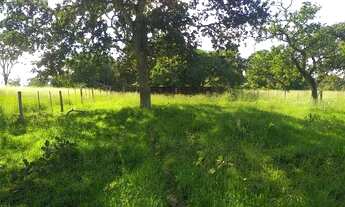 Imagem 5: FAZENDA BOA ESPERANÇA A VENDA