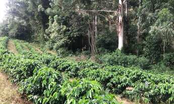 Imagem 7: Imóvel rural Chácara com venda por R$900.000