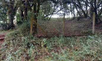 Imagem 2: Terreno na Barragem do Salto em São Francisco de Paula!