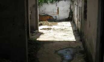 Imagem 6: GALPÃO - SANTO AMARO - SP