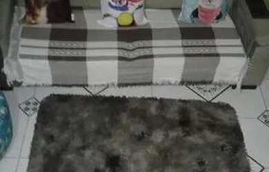 Imagem 2: Vendo uma. Casa Casa com 2 dormitórios