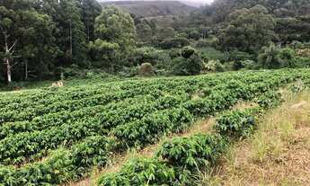 Imagem 3: Imóvel rural Chácara com venda por R$900.000