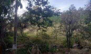 Imagem 5: Vende-se terra Chácara com venda por R$600.000