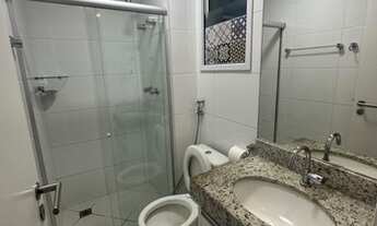 Imagem 6: Arboris Jabotina