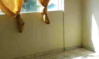 Imagem 4: Ponto Comercial e Apartamento em Petrópolis, 2 quartos