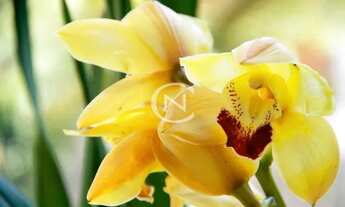 Imagem 6: APARTAMENTO COM 3 DORMITÓRIOS À VENDA, 311 M² POR R$ 3.658.100,00 - PLANALTO - GRAMADO/RS