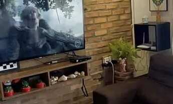 Imagem 5: Casa rústica em Quintão