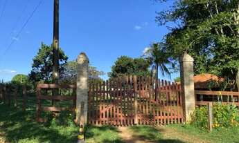 Imagem 2: Sítio dentro da cidade ótimo pra loteamento em Rio Preto - Próximo do Vila Azul!