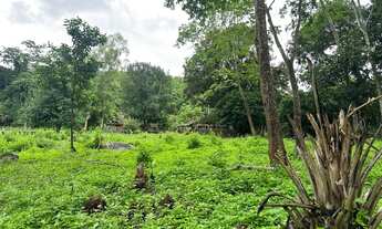 Imagem: Vendo uma chácara de 4 alqueire na beira