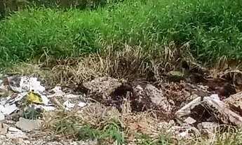 Imagem 3: Terreno perto da praia do francês