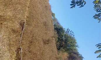 Imagem 2: Lago Corumbá 04