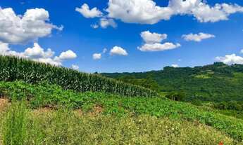 Imagem 7: Sítio / Chácara para Venda em Nova Petrópolis, Pinhal Alto, 3 dormitórios, 1 banheiro, 2 v