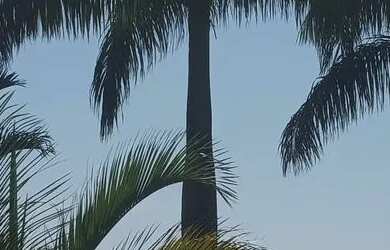 Imagem 6: Chácara de lazer próximo a Maringá Rio Ivaí