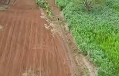 Imagem 4: Sítio próximo campina verde