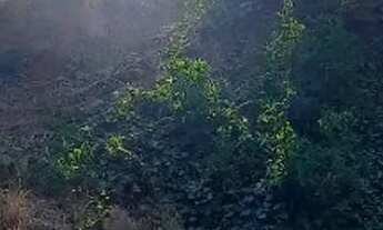 Imagem: TERRENO COMERCIAL em SÃO PAULO - SP, JARDIM