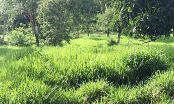 Imagem 3: Fazenda à venda, zona rural, Pires do Rio, GO