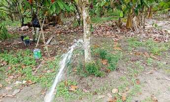 Imagem 15: Sítio à 9km de Laje/Ba