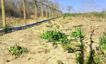 Imagem 5: Chácara Vendo ou troco em carro
