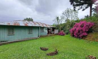 Imagem: Terra no interior de Monte Belo do Sul