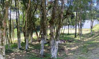 Imagem 2: Terreno de esquina/ Direto com o proprietário