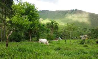 Imagem 6: Chácara em Adrianópolis - PR - 24.000m2