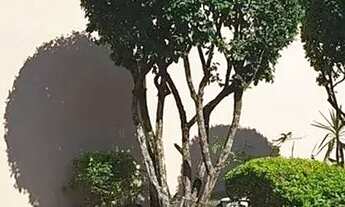 Imagem 2: Sobrado em Villagio 2 suites