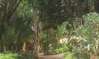 Imagem 3: ? VENDO CHÁCARA EM CATANDUVA - SP ?