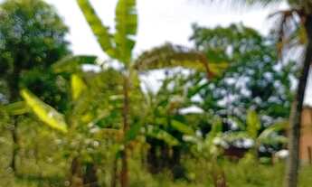 Imagem 2: Sítio porteira fechada