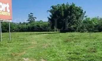 Imagem 5: Terreno a venda com escritura pública na SC 401/ Santo Antonio de Lisboa, com viabilidade