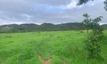 Imagem: Alugo pasto para gados e cavalos