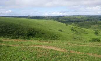 Imagem 3: Imóvel para venda possui 3700 metros quadrados em Centro - Dom Macedo Costa - BA