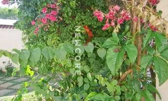 Imagem 6: Casa em Rua Egle Moretti Belintani - Parque das Flores - Campinas/SP