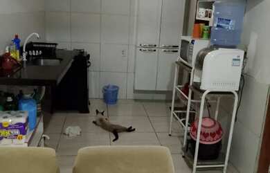 Imagem 5: Casa na Maraponga