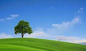 Imagem 4: Imóvel para venda tem 600 metros quadrados em Terra Preta (Terra Preta) - Mairiporã - SP