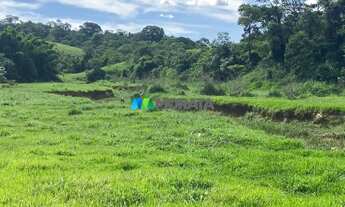 Imagem 3: FAZENDA À VENDA - 135 HECTARES - RIO CASCA (MG